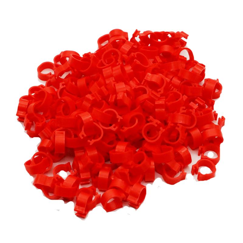 200 Pcs Inner Diameter 8mm Bird Foot Ring Dove Pigeon Parrot Leg Rings Small Birds Foot Ring Bird Clip Ring 10 Colors