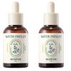 Pantothenic Water Parsley Ampoule 50ml X 2-Pack - Acne-Prone & Sebum Control Treatment - Radiant Korean Skincare Bundle