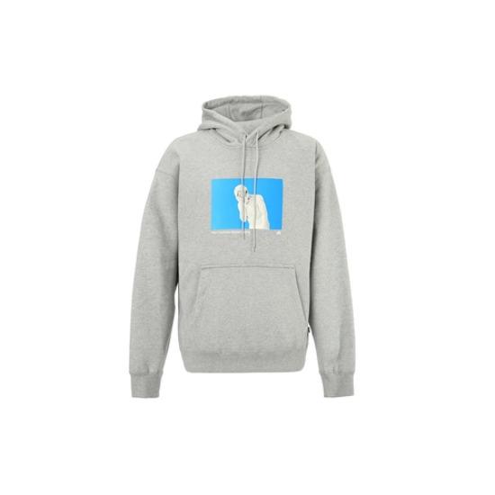 Худи Nike SB с принтом, длинный рукав, повседневная толстовка FN2557-063 EU XL