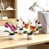 Butterfly Orchid Artificial Plant With Textured Plastic For Photography And Home Decor