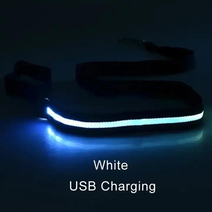 Led Pet Dog Leash Rope With Light Luminous Lead Leash USB Charging for Dog Safety Flashing Glowing Collar Harness Accessories