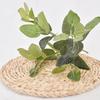 Deliciosa Plastic Monstera Epipremnum Aureum Rohdea Japonica Plant Artificial