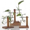 Geometric Wood & Glass Wall Planter, Modern Water Propagation Station for Indoor Plants, Desk Shelf Decor