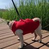 Pet Apparel Thicken Winter Dog Coat Comfortable with Zipper Dog Fleece Jacket Soft Puppy Towing Suit Autumn and Winter
