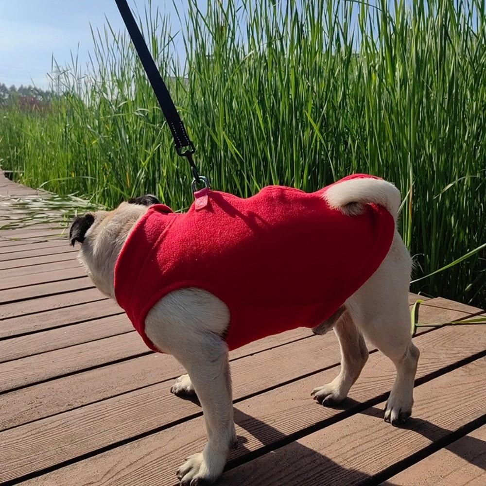 Pet Apparel Thicken Winter Dog Coat Comfortable with Zipper Dog Fleece Jacket Soft Puppy Towing Suit Autumn and Winter