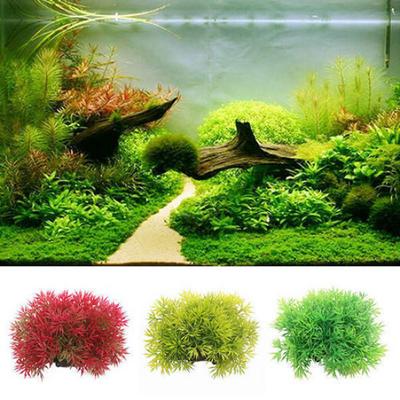 Water Grass Water Plant for Aquarium Fish Tank Ornamentsation