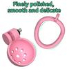 ABS Chastity Cage with 5 Rings Cock Cage Adult Sex Toy Penis Bondage Urethral Lock with Plug Male Cuckold Fetish Erotic BDSM Toy