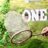Insect Observation Box Net Bag Insects Trap Magnifying Glass Forceps Insect Collectors Cages Butterfly Observation Pet Products