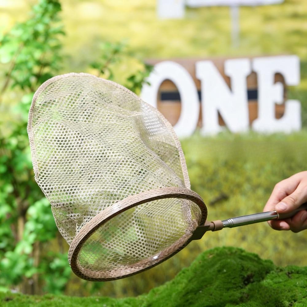 Insect Observation Box Net Bag Insects Trap Magnifying Glass Forceps Insect Collectors Cages Butterfly Observation Pet Products