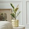 Nordic Cream Pearl Ceramic Flower Pot for Home or Office Decor