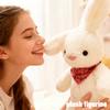 Cute Bunny Plush Toy, Little Bunny Soft Toy, Comforting Stuffed Doll