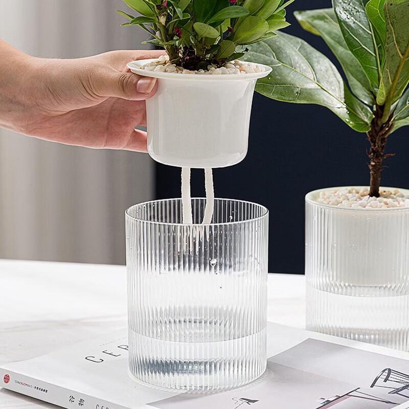 Aomeiyou Transparent Self-Watering Hydroponic Planter