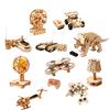 Homlly DIY Educational Stem Wooden Assembly Drone Car Lamp Model Kit