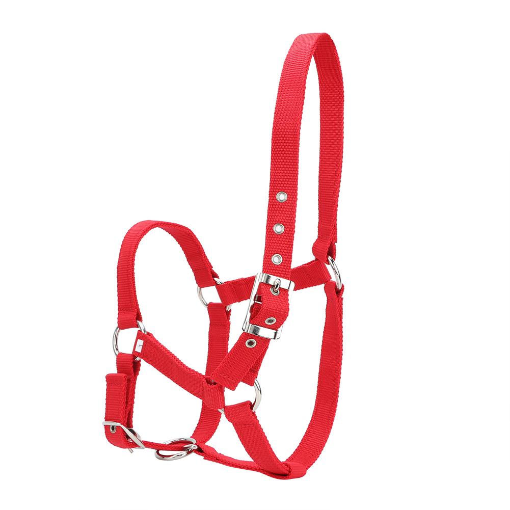 High Density 6mm Thickened Webbing Horse Bridle Control Halter Riding Accessories Red Color