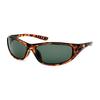 Coleman Polarized Sunglasses Brown Demi CO3024-3