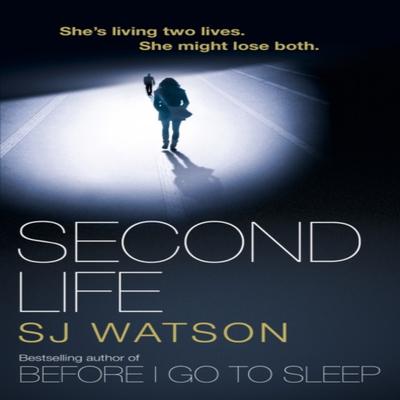 Second Life by S J Watson Paperback Book 9781784161644