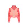 X Feng Chen Wang Jackets Women's Pink Stand Collar Moderate Other 10017779-A01