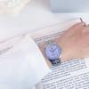 Vivienne Westwood Quartz Watch Stainless Steel Band Purple Dial 50 Meters Water Resistant Women watches DWVV281PPSL