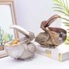 Nordic Resin Toucan Key Storage Box Living Room Table Decoration Creative Statue Home Finishing Decor Porch Key Storage Key Organizer Box Art Craft