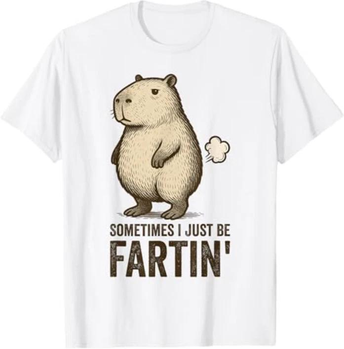 Sometimes I Just Be Farting Funny Fart T-Shirt 2XL