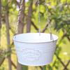 European Hanging Iron Flower Pot for Hydroponic Plants and Succulents - Orchid and Garden Decor