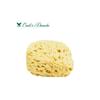 [0117] CROLL Natural Sponge Classic C010