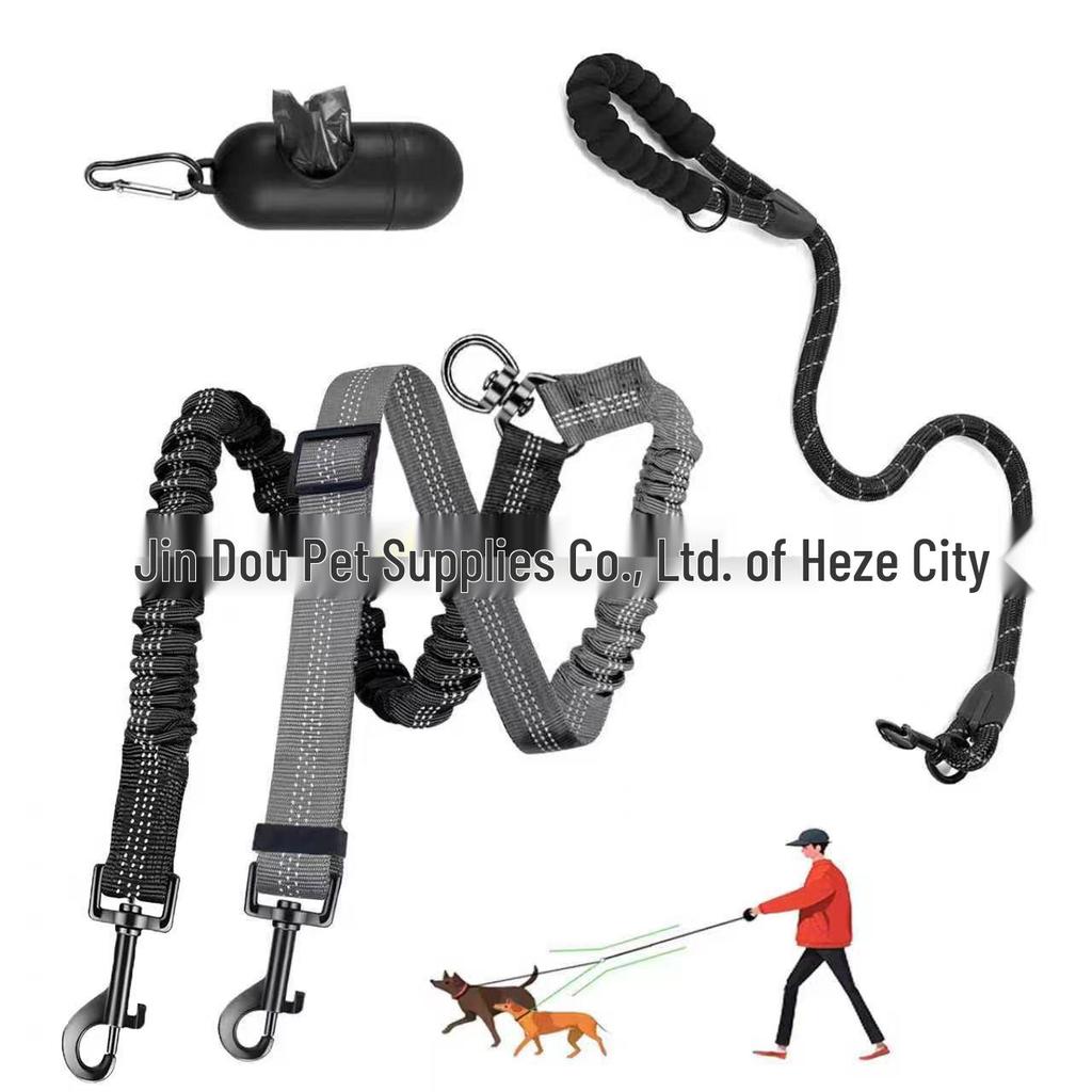 Automatic Retractable No-Choke Dog Leash for Walking Two Dogs