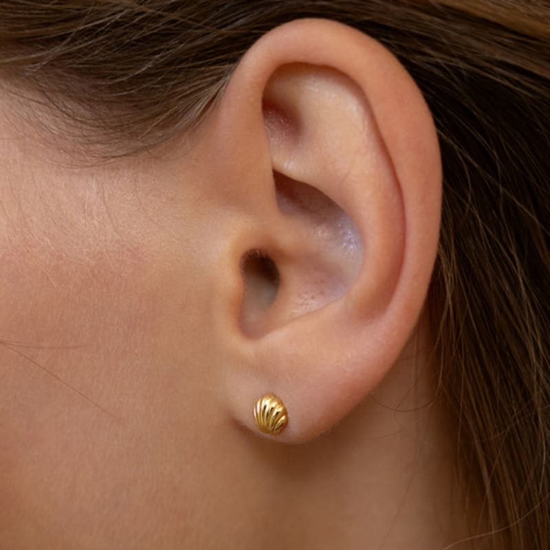 Tatiana (925 Silver) Mini Shell Earrings EC3252