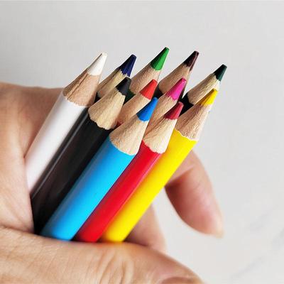 Oil-Based Colored Pencils Set - 12 Vibrant Colors for Drawing & Doodling