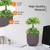 Set of 2 Artificial Topiary, 22x10 Cm, for Home/Office Décor, Greenery In Brown Plastic Pot