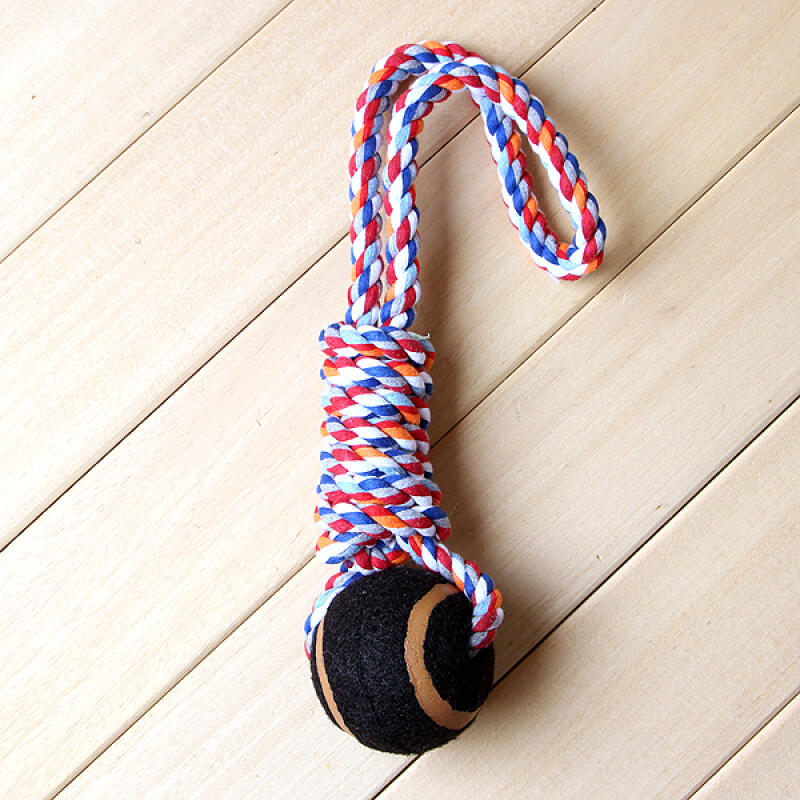 

Thread Dog Toy (Random)