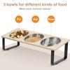 Elevated Cat Bowls Feeder 15° Tilted Raised Feeding & Watering Supplies Pet 3 Stainless Steel Bowls with Stand for Cats Puppies
