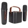 Mini Karaoke Machine Stereo Portable RGB Light Bluetooth Speaker with 2 Wireless Microphone for