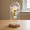 Gold foil rose immortal flower glass cover Valentine's Day gift Christmas Mother's Day creative LED night light