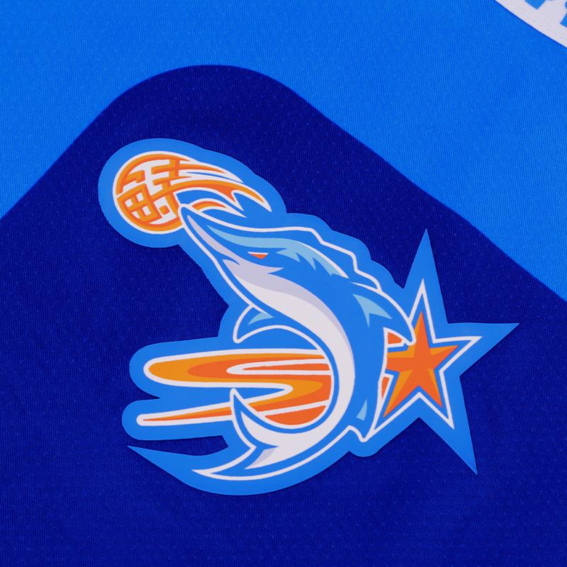 Li Ning CBA Series Classic Quick-Dry Breathable Basketball Training Jersey Fan Edition 25-26 Season Unisex Jersey AAYV555-1