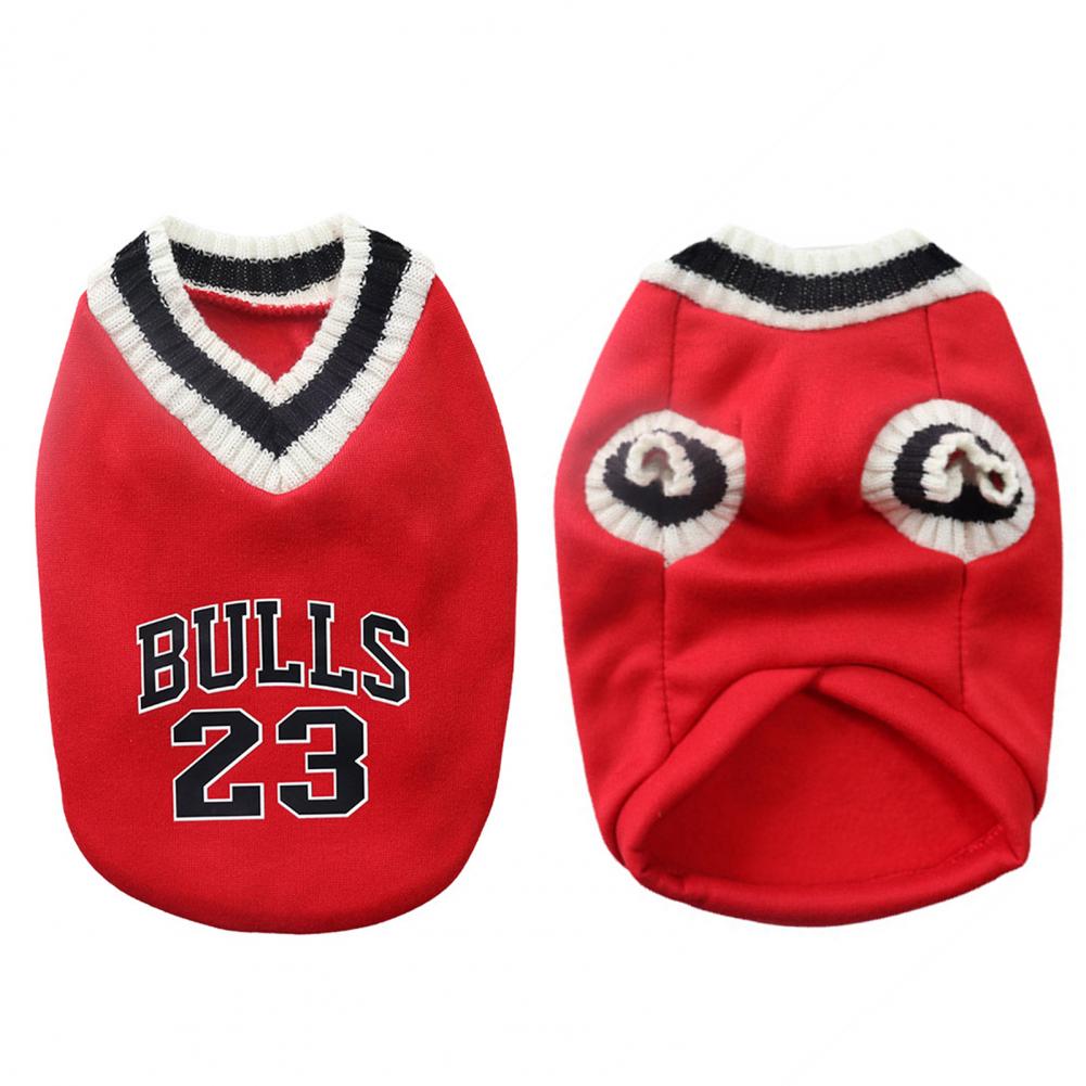 Haustier Sweatshirt Stilvoller Zweibeiniger Hunde Welpen Pullover Kostüme Verdickter Hunde Pullover Haustier Hund Zweibeiniger Pullover Kleidung für