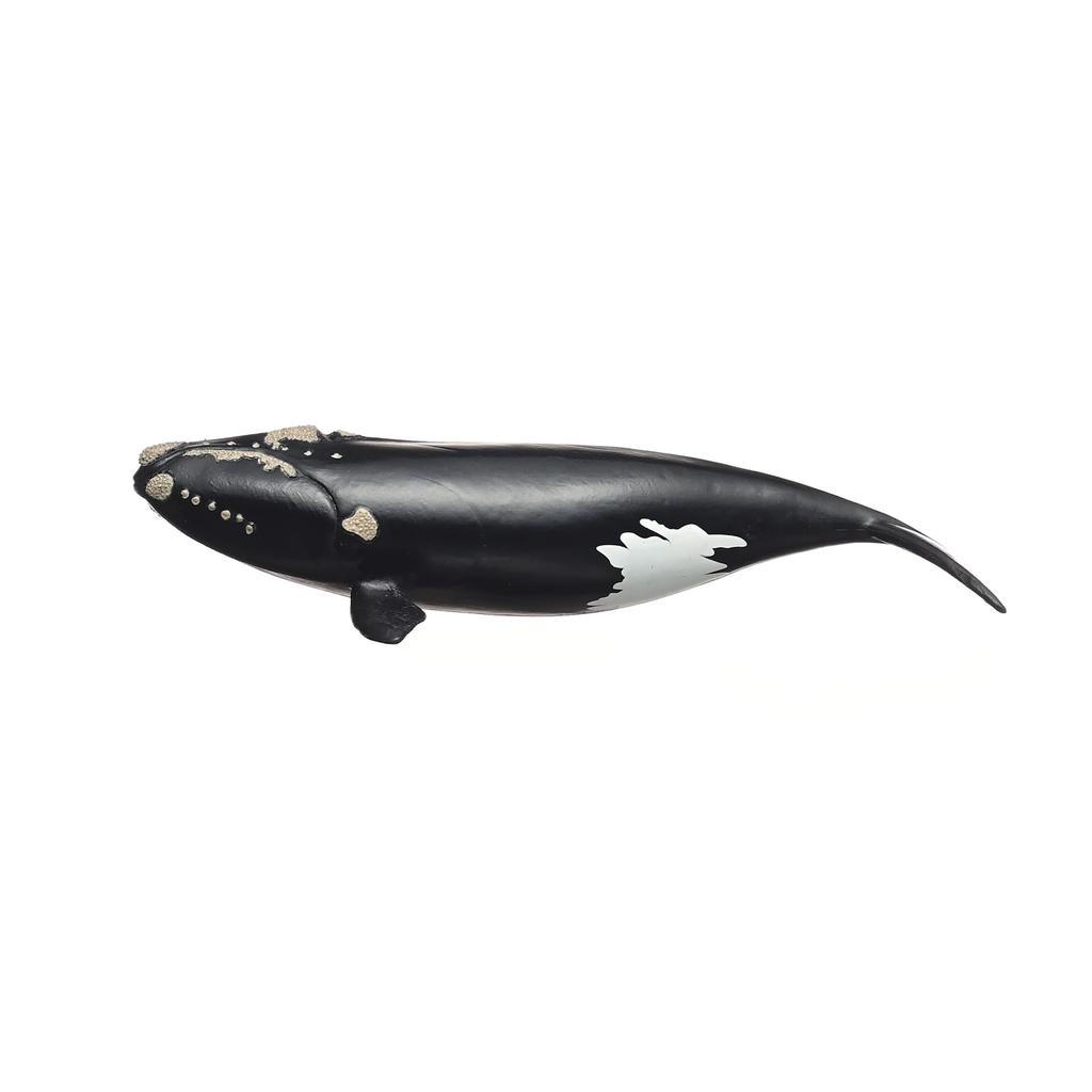 Schleich Wildlife North Atlantic Right Whale 14878