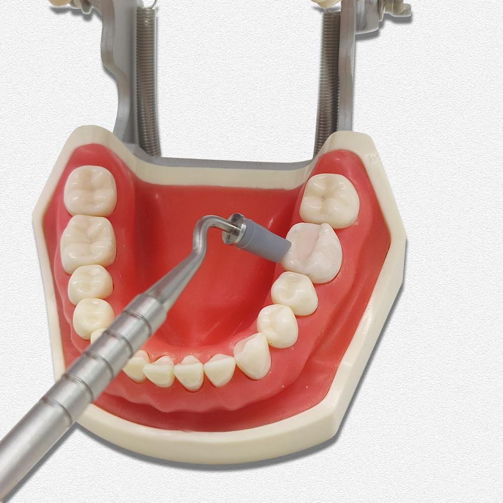 1 set de pensule din rășină dentară, mâner din oțel inoxidabil, modelare, cap moale din silicon, instrumente adezive pentru ciment compozit din porțelan