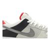 Nike Dunk Low SB 'AM90 Infrared' (Unisex) Skate Shoes CD2563 004