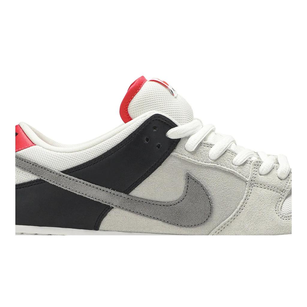 Nike Dunk Low SB 'AM90 Infrared' (Unisex) Skate Shoes CD2563 004