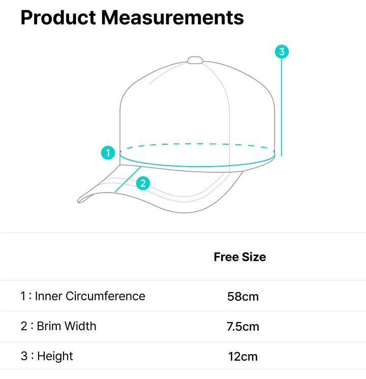 Official BTS WORLD TOUR 'ARIRANG' Ball Cap - Classic Black (Limited Tour Edition)