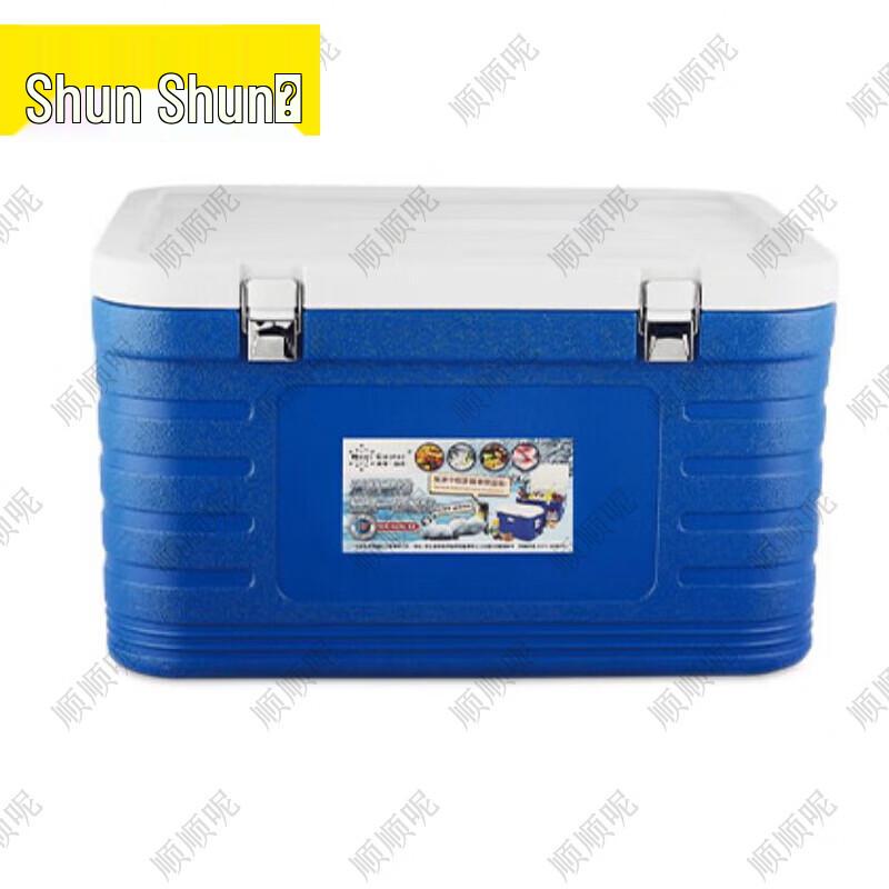 Shunshunni Insulated Food Delivery Box