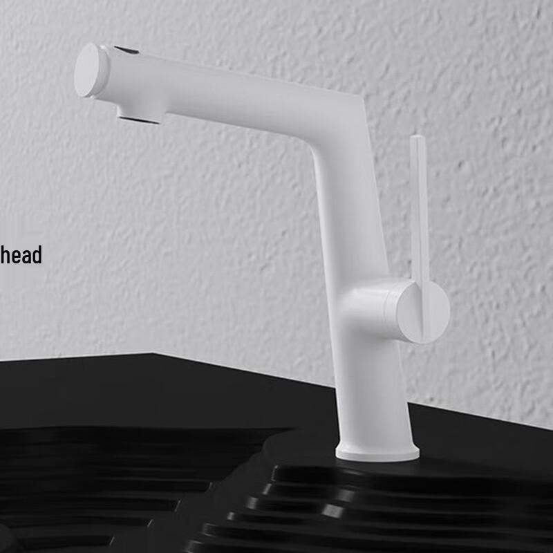 TLXT Pull-Out Basin Faucet with Hot & Cold Water