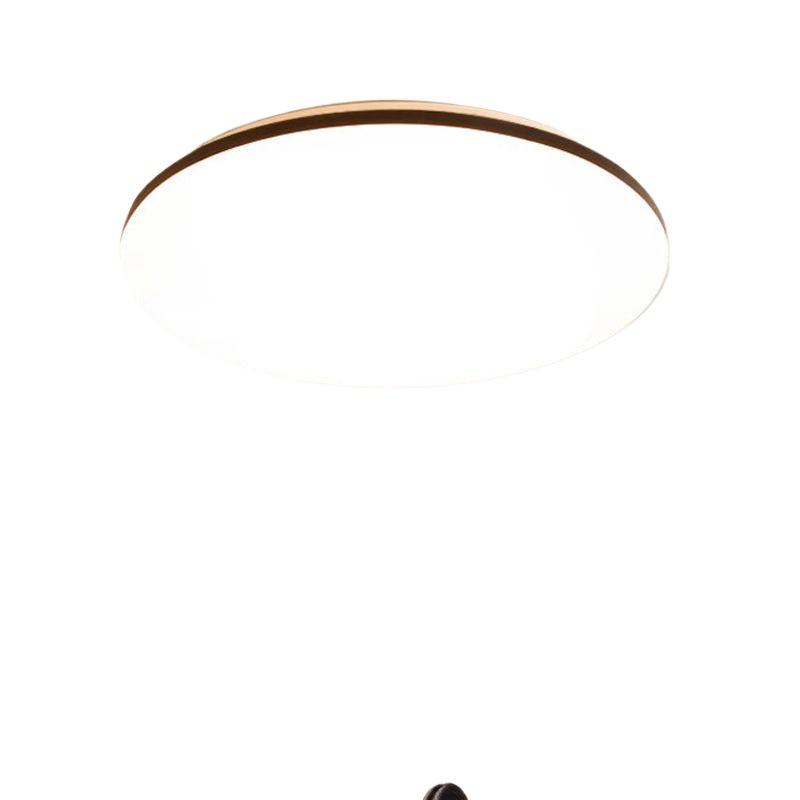 2025 Modern Minimalist LED Ceiling Light for Living Room, Bedroom, Study & Balcony - Super Bright