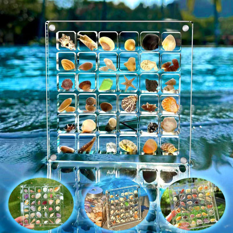 Acrylic Magnetic Seashell Display Box 36 Grids Transparent Compartment Organizer for Collectible Seashell Pin Badge Home Display