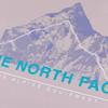 THE NORTH FACE T Shirt Men's 1OA/Moon Shadow Gray NF0A8D7E-1OA