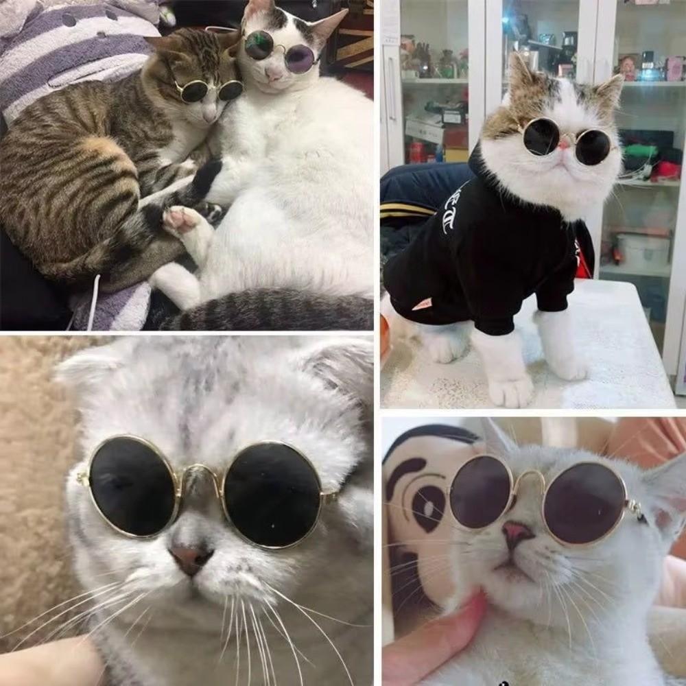 UV Protection Cat Sunglasses Vintage Dog Glasses Cute Pet Sunglasses  Pet Accessories