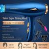 Professional Salon Hair Dryer with Straightener