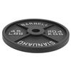 45LB Barbell Plate 4 Rib Alloy Steel Cast Iron High Strength Long Lasting Weight Plate for Strength