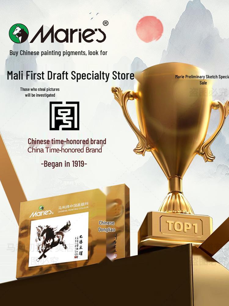 Maries 12-Farben Anfänger Tuschemalerei Set für Kinder mit Pinseln